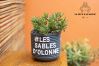 House in Les Sables-d´Olonne - 🌿 L’Oasis Sablaise – Patio terracotta, calme, 4 pers, proche plage & centre
