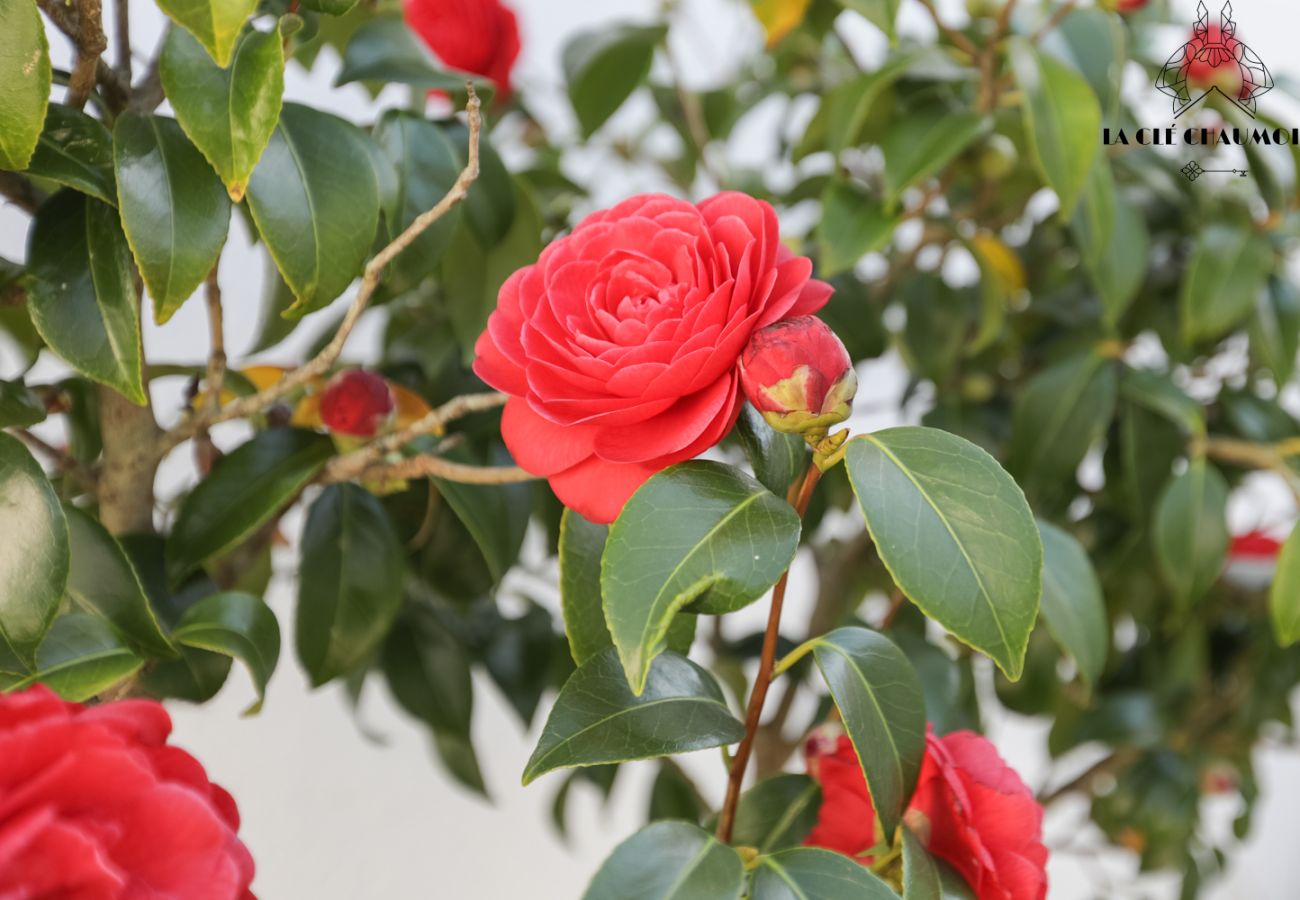 Maison à Les Sables-d´Olonne - TRIBU I Maison Sablaise 10 pers I 200m Grande Plage